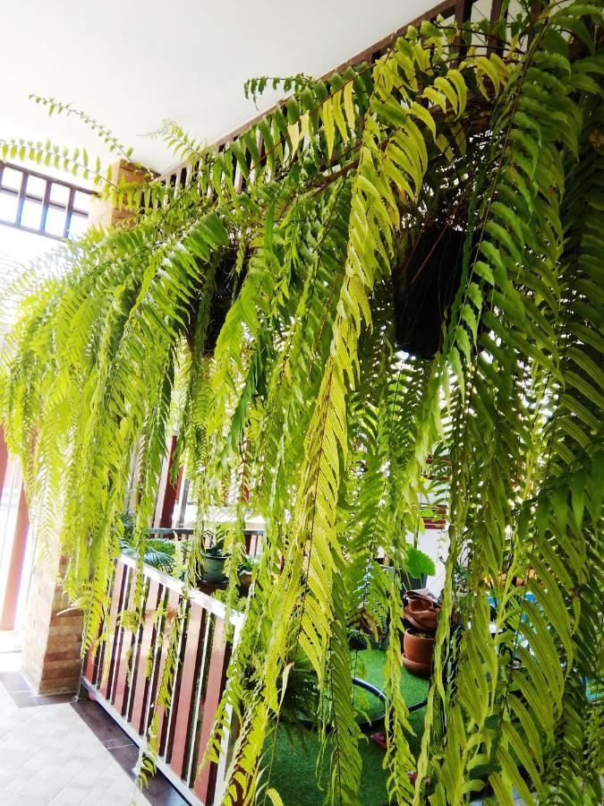 Bed and Breakfast Wilderness Ban Chang  Exterior foto